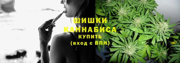 apvp Няндома